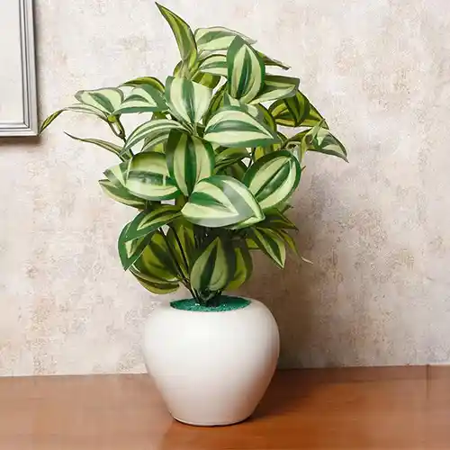 Artificial Plant